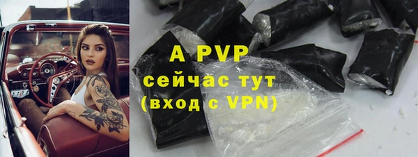 дживик Касимов