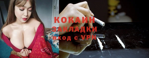 дживик Касимов