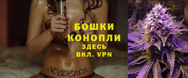 дживик Касимов