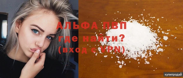 дживик Касимов