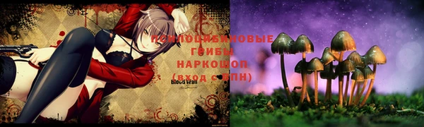 кристаллы Карпинск
