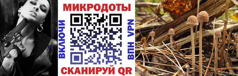 Псилоцибиновые грибы мухоморы  цена наркотик  OMG tor  Петрозаводск 
