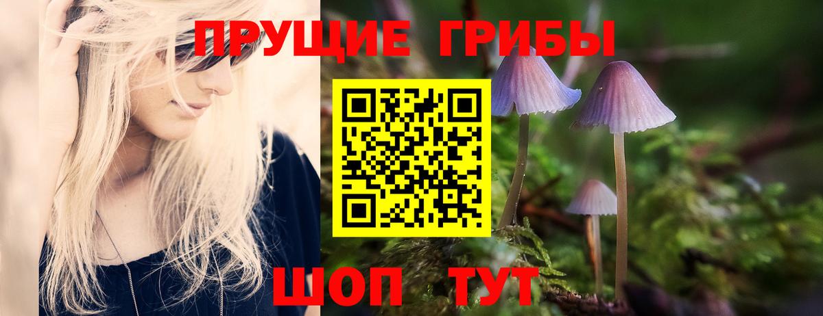 Галлюциногенные грибы Psilocybe  Галлюциногенные грибы мицелий  Петрозаводск  Вход с VPN 