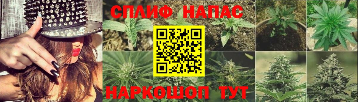 Шишки марихуана индика  Шишки марихуана SATIVA & INDICA  Вход с VPN  Канабис семена  Бошки Шишки VHQ  Петрозаводск 